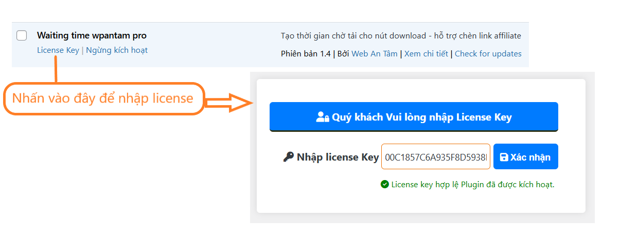 Nhập license key để kích hoạt plugin