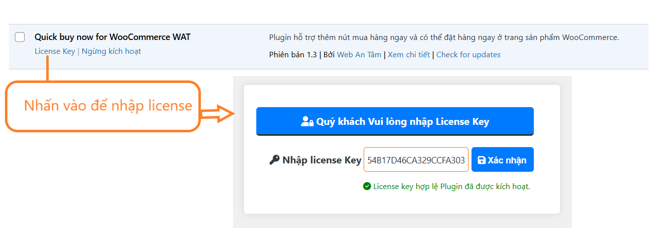 Nhập license key để kích hoạt plugin